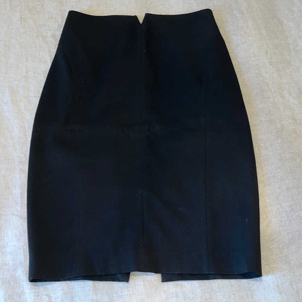 Express Pencil skirt